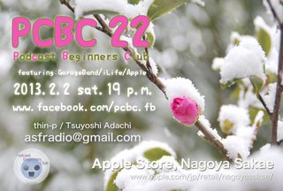 snow_pcbc22.jpg